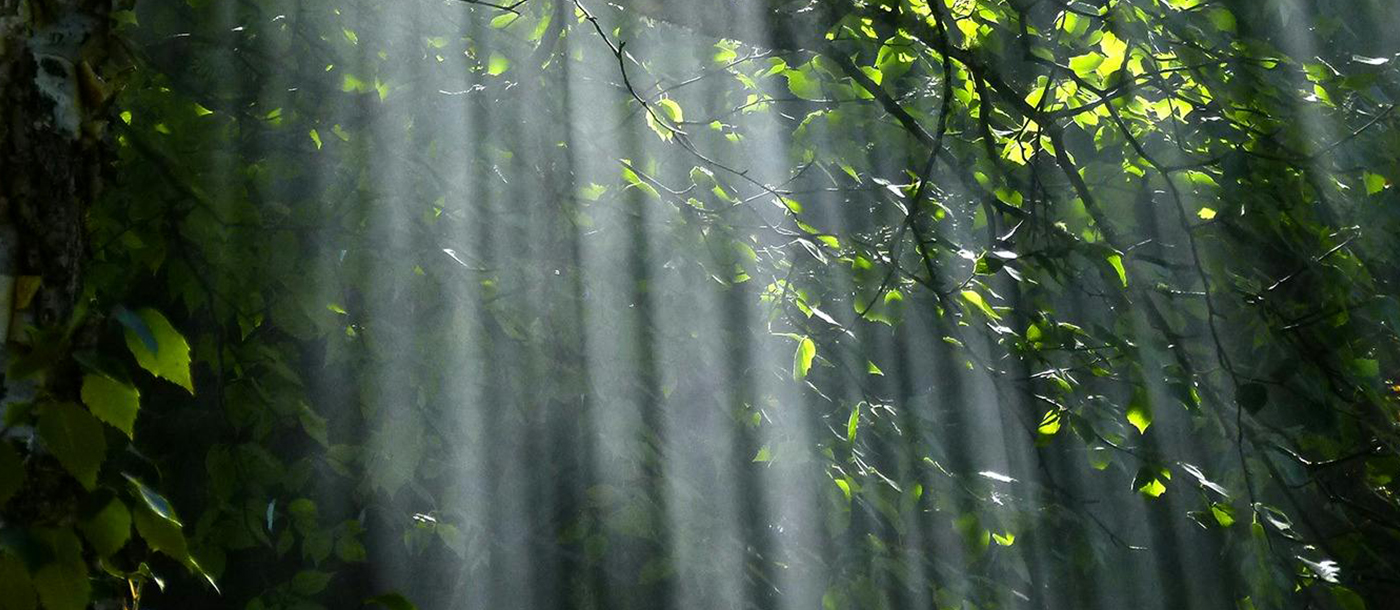 プライムウェルスのホームページへようこそ