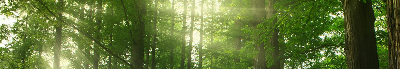 プライムウェルスの事業案内