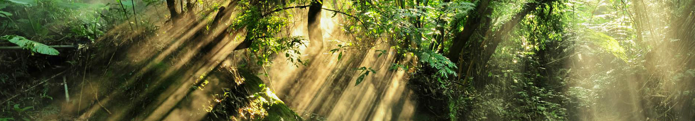 プライムウェルスの事業案内