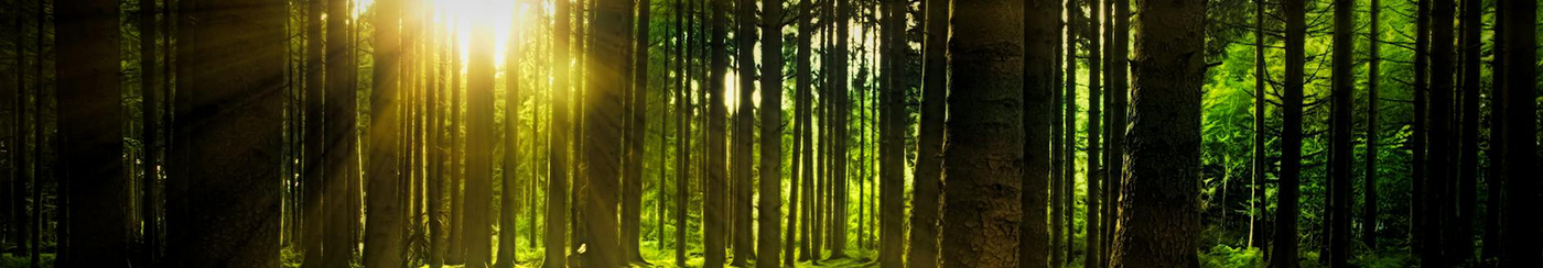 プライムウェルスのコンタクトフォーム